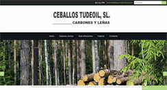 Desktop Screenshot of ceballostudeoil.com