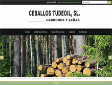 Tablet Screenshot of ceballostudeoil.com